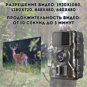 Фотоловушка для охоты ANYSMART F200
