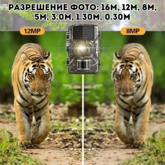 Фотоловушка для охоты ANYSMART F200