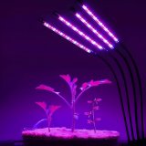 Фитосветильник настольный LED для растений фитолампа ANYSMART DC-16 