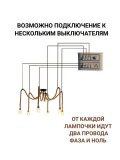 Люстра потолочная подвесная "Паук канат" ANYSMART в стиле лофт на 6 ламп (лампы в комплекте)